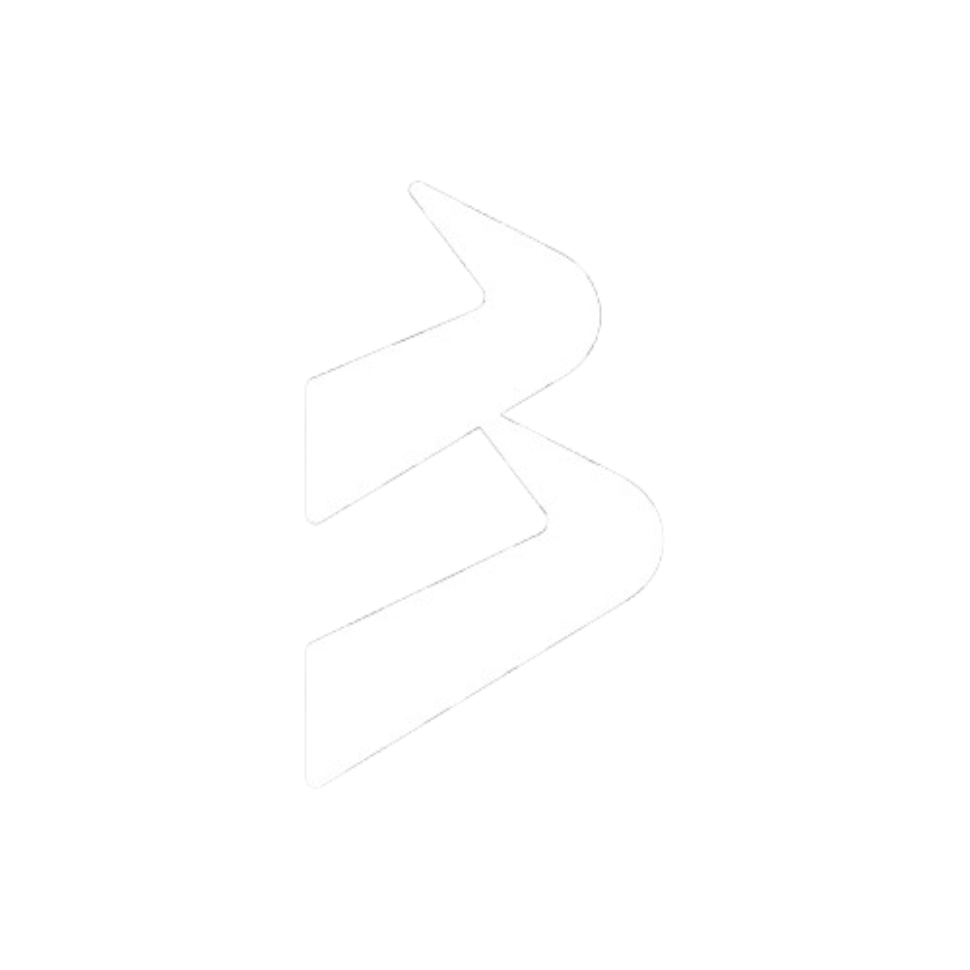 BlackBull Markets logo