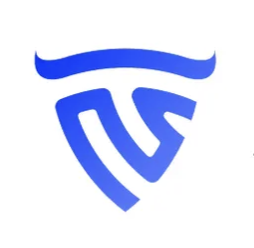 Bullwaves logo